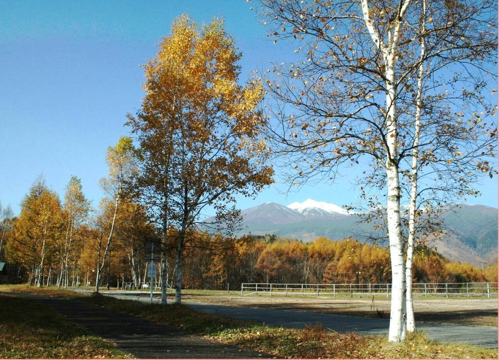 Alpine Inn Mizushiro Matsumoto Ngoại thất bức ảnh